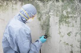 Best Real Estate Mold Inspection  in Franklin, TX